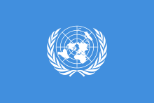 FN kritik af manglende handleplan mod racisme